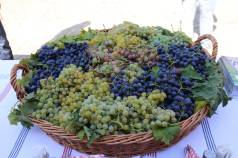 Mini IMG 0803